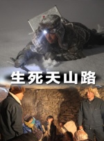 国内精品久久久久久久亚洲